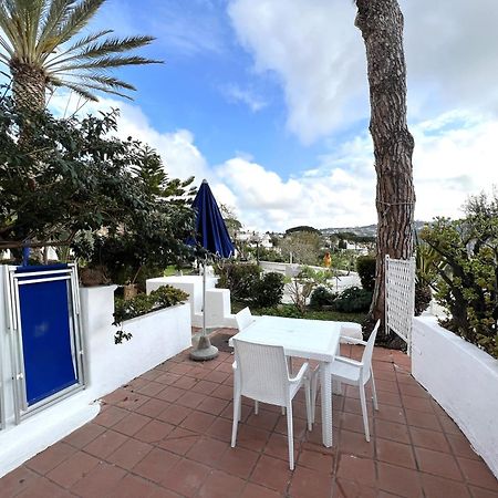 Villa Ravino Secret Retreat Forio di Ischia Eksteriør billede