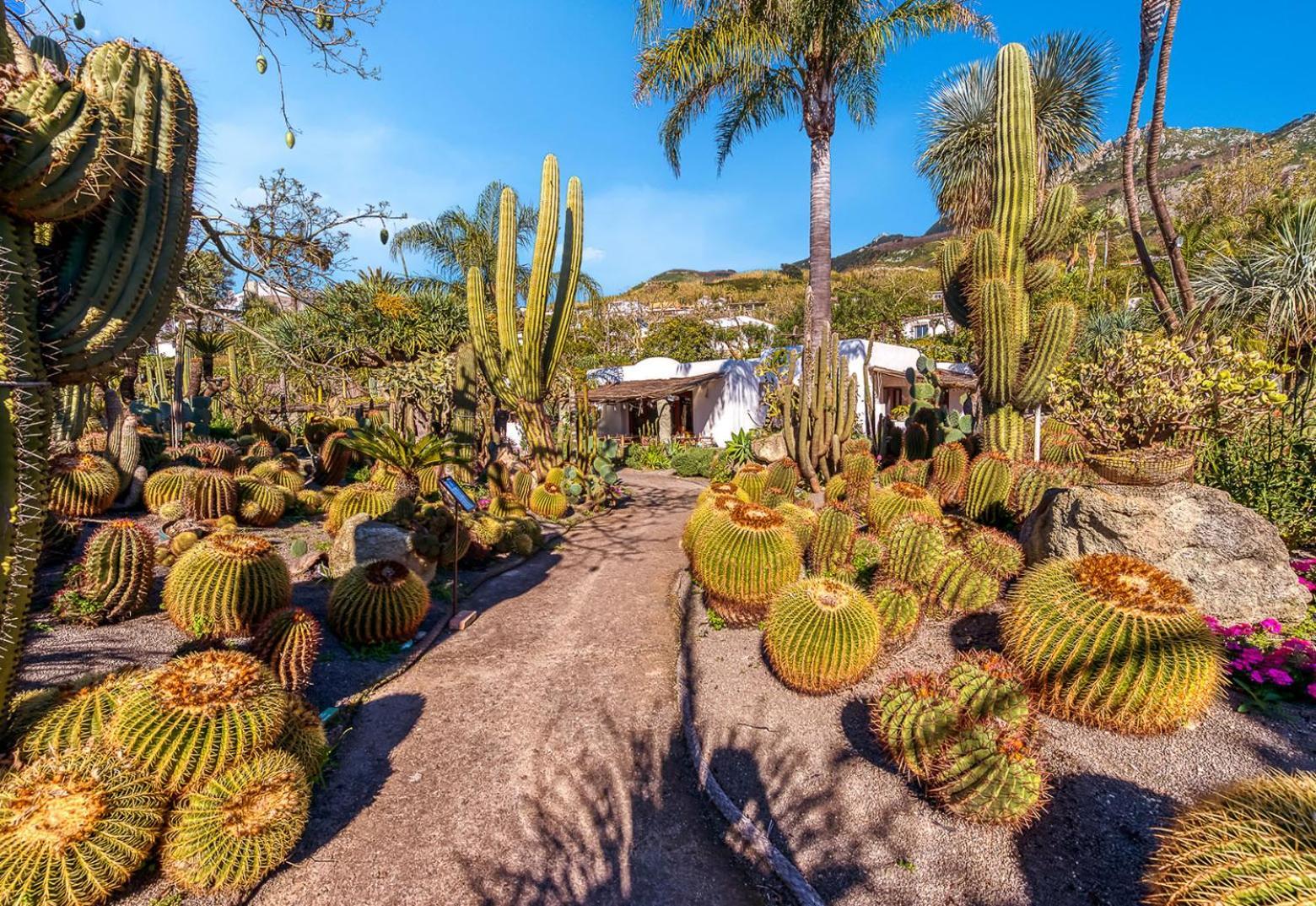Villa Ravino Secret Retreat Forio di Ischia Eksteriør billede