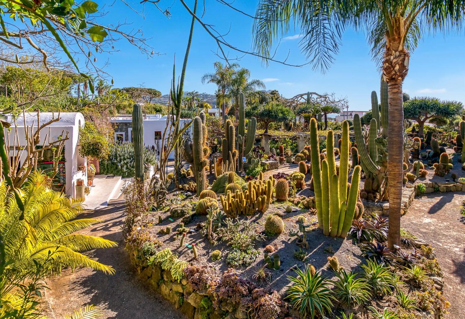 Villa Ravino Secret Retreat Forio di Ischia Eksteriør billede