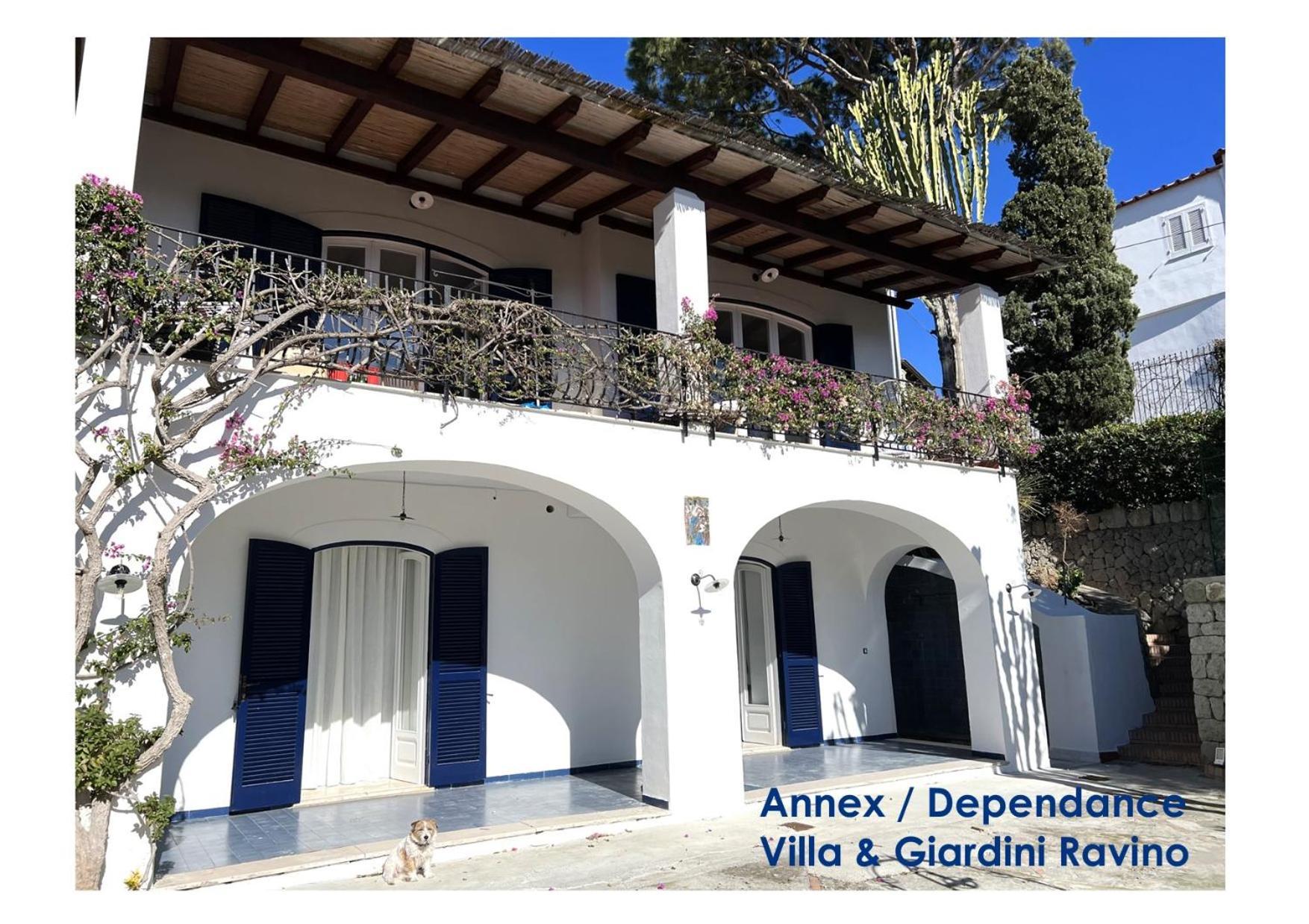 Villa Ravino Secret Retreat Forio di Ischia Eksteriør billede